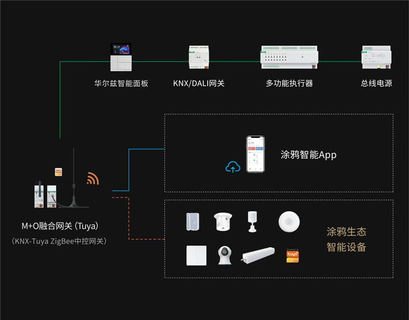 華爾茲與GVS M+O融合方案